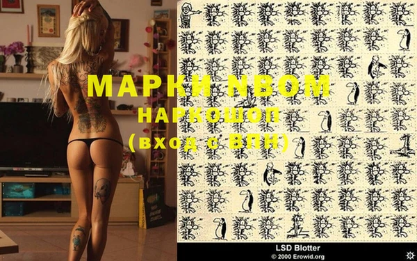 крисы Елизово