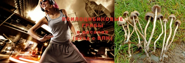 крисы Елизово